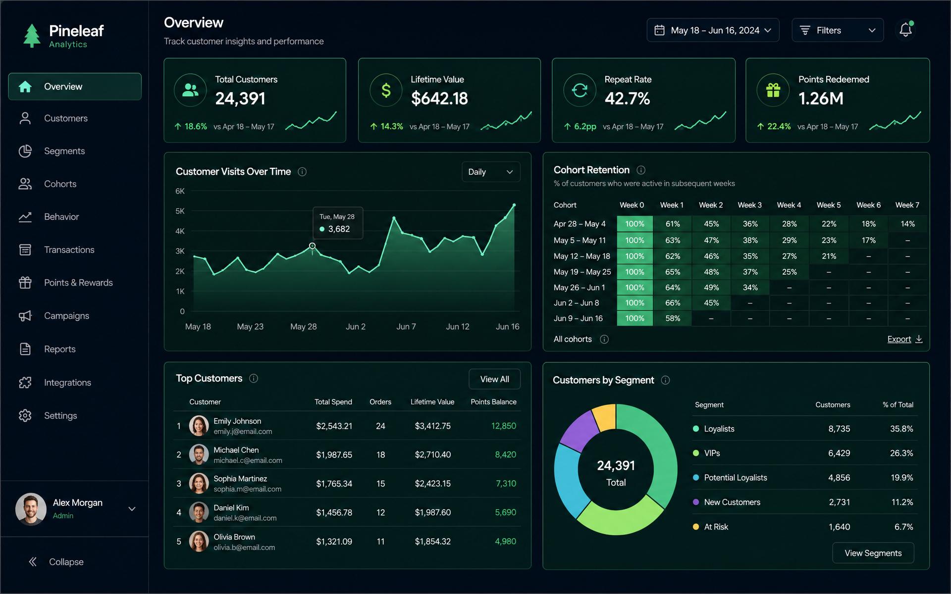 Customer analytics dashboard preview